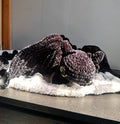 Black NightFury (Peluche)